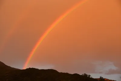 DSC_6057 (Large).JPG